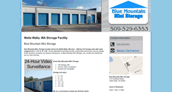 Desktop Screenshot of bluemountainministorage.com